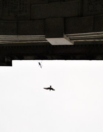 Look up... they're looking down... chopper and bird as seen from below the Fusiliers Arch