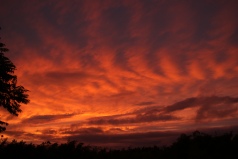 FBPF - August stunner!! BIG Kildare sunset...