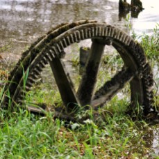 Crown gear? From where? How did it get to be stuck in the mud at the edge of the Shannon?