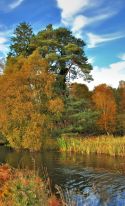 Royal Canal autumn colour - HDR