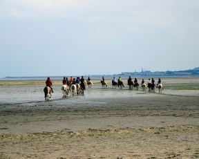 All our adventures begin in the heart... a horse ride on Sandymount Strand in Dublin is just what some need ...