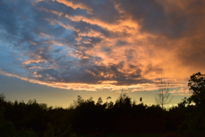 Stormy sunset, Co Kildare, Ireland 11 May 2015