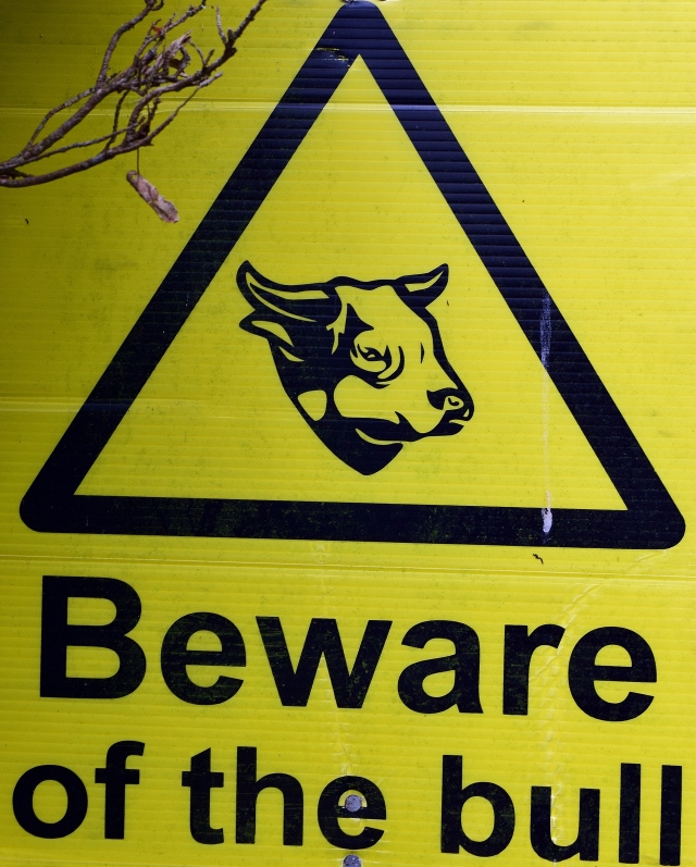 Read the sign!! Don't let the bull get you down!!!