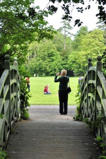 Capturing the Marlay Park moment
