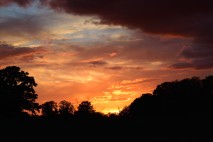 An August 2016 Kildare sunset... splendid!