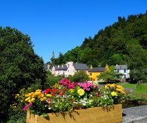 Avoca Village in the summer! Bliss... pure bliss!