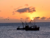 Arklow Bay sunrise splendour - fishing boats enjoy the special!