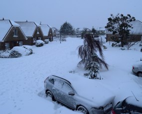 Snow... so much snow!!! Our estate, Arklow, 18h00 02 MAR 2018 - phew, where did it come from??? The Beast and Emma paired... some baby!
