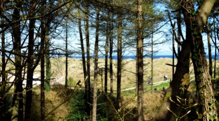 Sea... sand, trees... and bliss! The Raven, Co Wexford!
