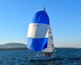 Blue and white spinnaker ... into the harbour she comes!